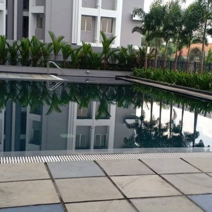 Swimming Pool - 1